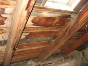 damage roof