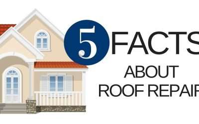 5 Facts About Roof Repair