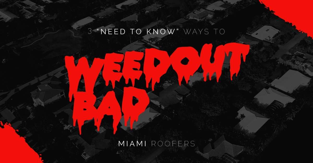 3 Need-to-Know Ways to Weed Out Bad Miami Roofers