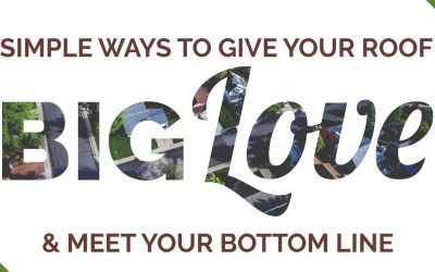 Simple Ways to Give Your Roof Big Love AND Meet Your Bottom Line