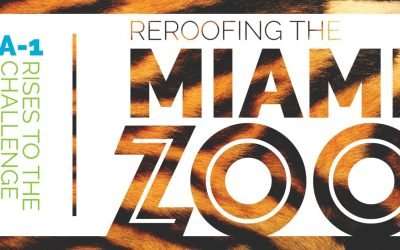 Commercial roofing services in southeast florida A-1 Rises to the Challenge — Reroofing the Miami Zoo