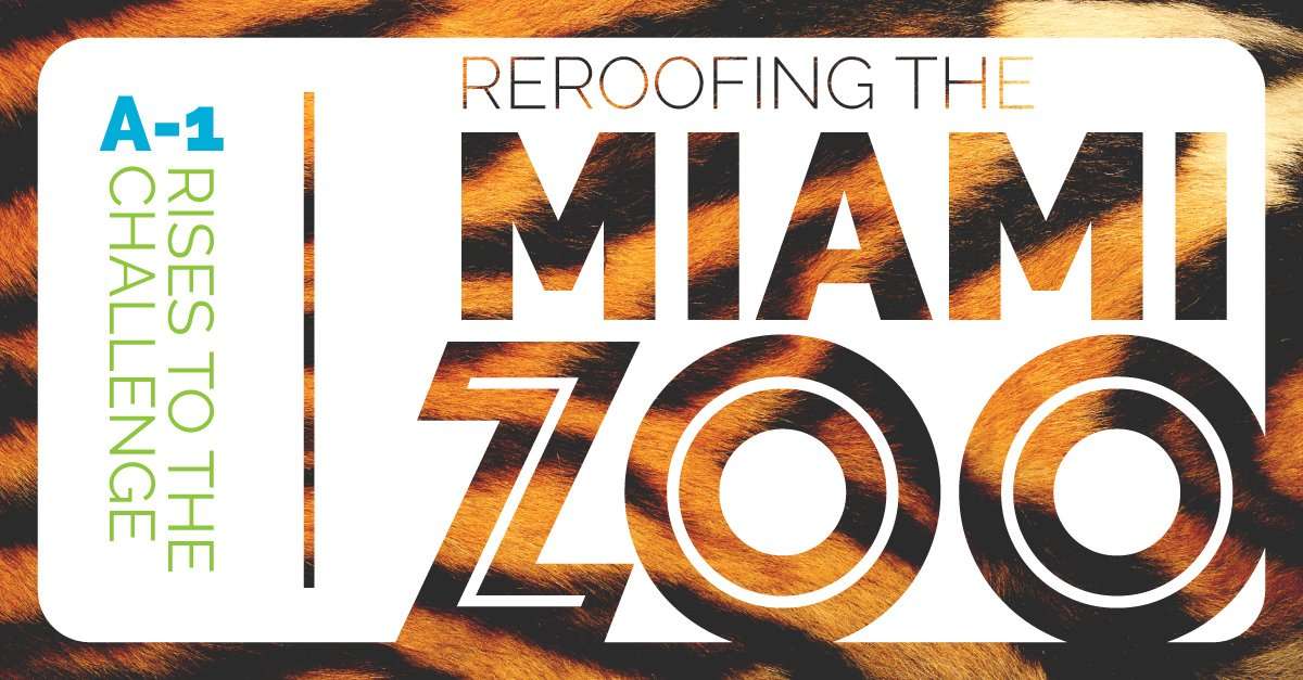 Reroofing the Miami Zoo Roofing the Miami Zoo