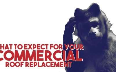 What to Expect with Your Commercial Roof Replacement
