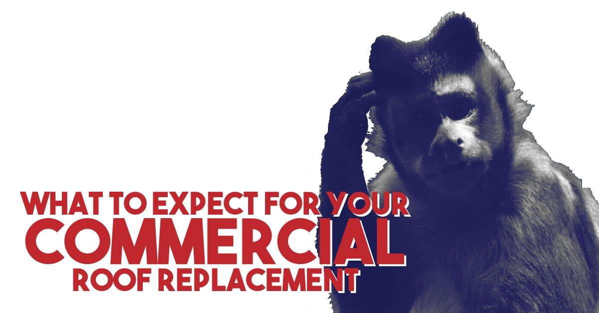 What To Expect For Your Commercial Roof Replacement