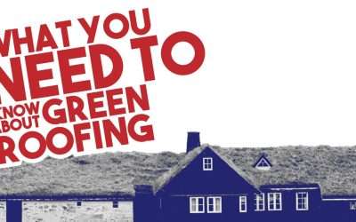 What You Need to Know about Green Roofing