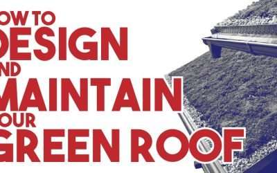 How To Design and Maintain a Green Roof