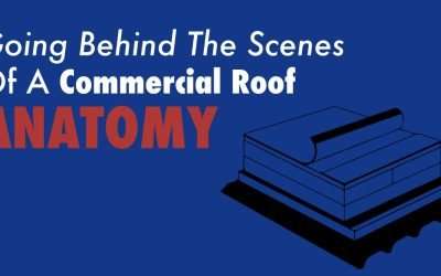 Going Behind The Scenes Of Commercial Roof Anatomy