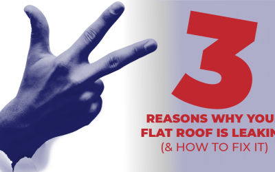 3 Reasons Why Your Flat Roof Is Leaking (& How To Fix It)
