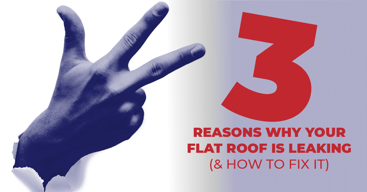 3 Reasons Why Your Flat Roof Is Leaking (& How To Fix It)