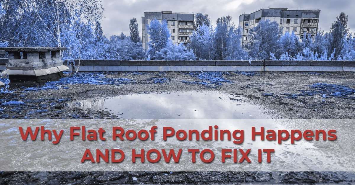 Why Flat Roof Ponding Happens and How To Fix It