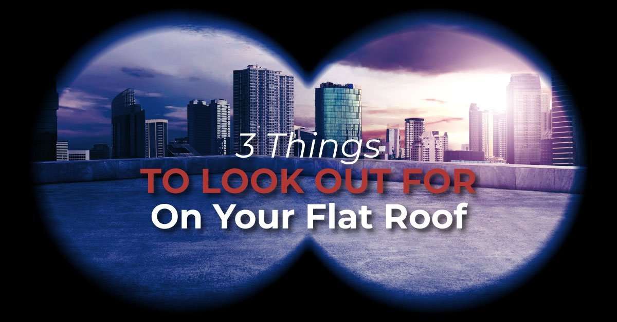 common flat roof problems