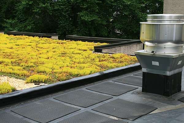 waterproof your plaza deck 