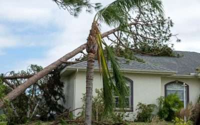 Is Your Roof Ready for Florida Hurricane Season?