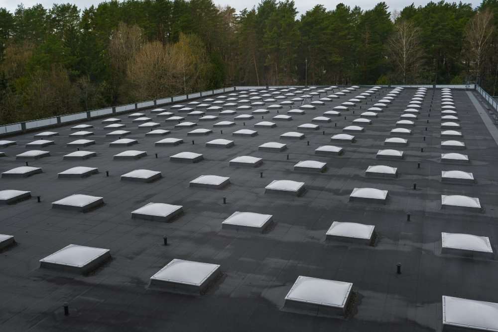 Designer Shingles<br />
