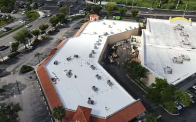 Best Roof Waterproofing Materials for South Florida